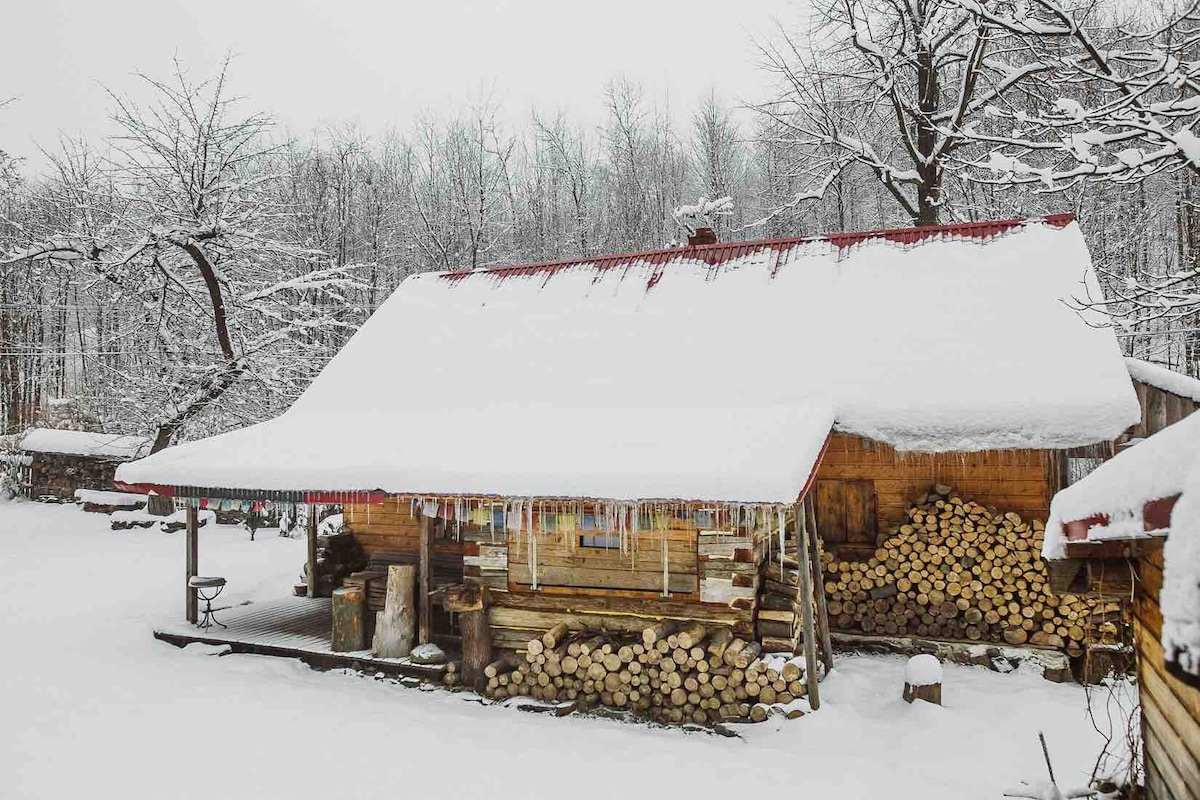 波兰森林迷人的古董小屋