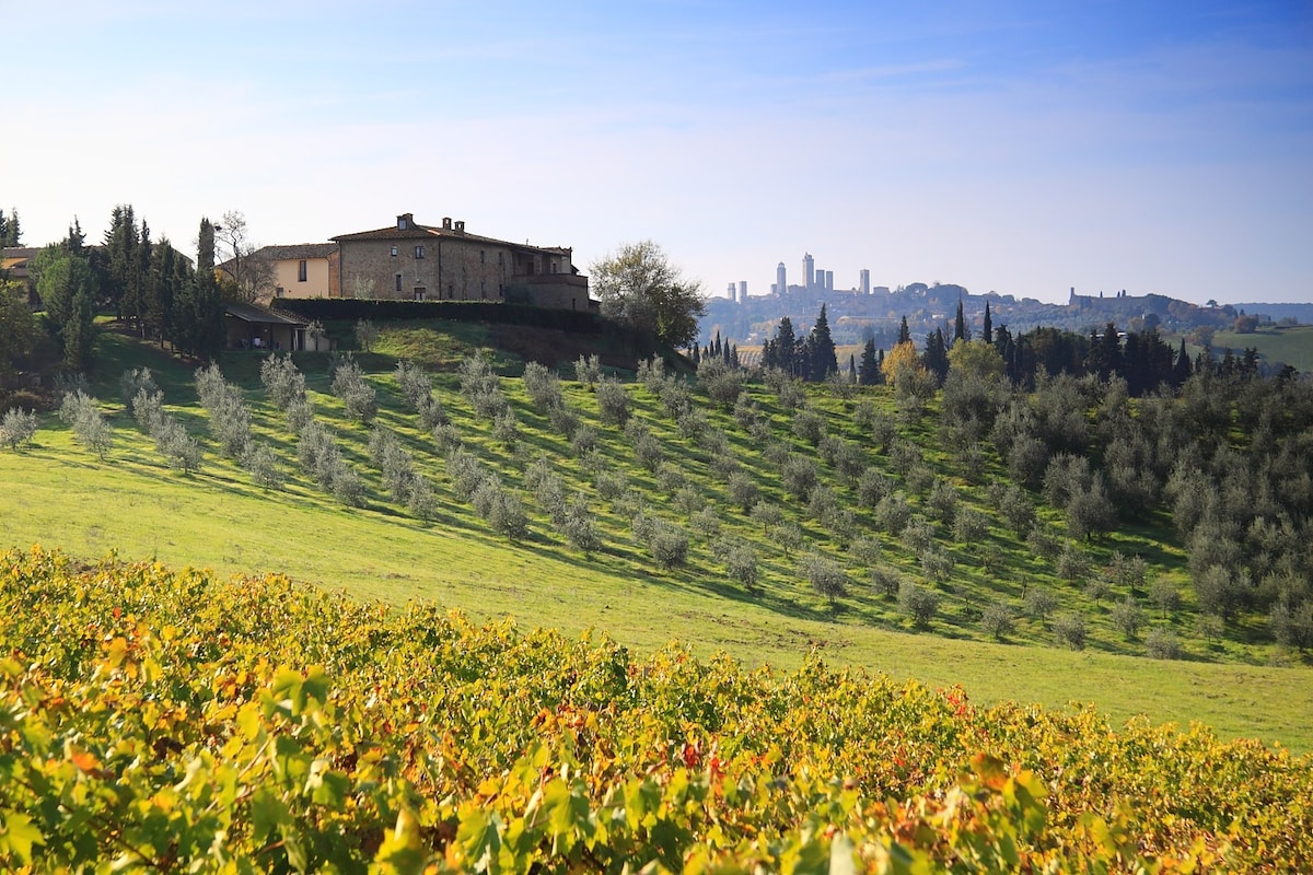 San Gimignano, Montegonfoli "TWO"