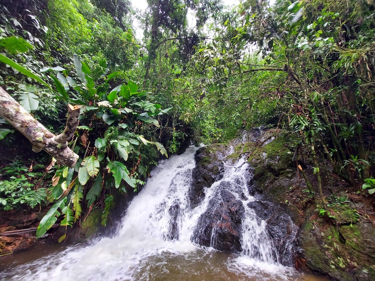 Cabana  mirante 
Rio dos cedros