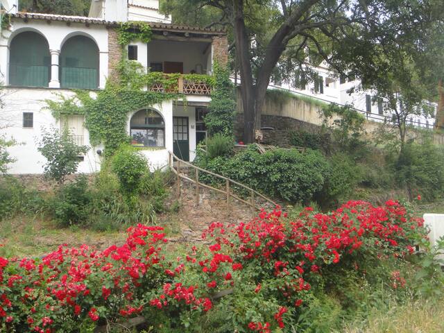 阿拉塞纳 (Aracena)的民宿