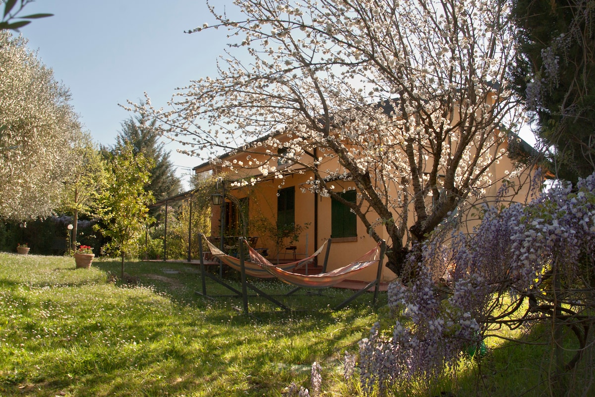 Casa Elisabetta sul Colline di Montescudaio (PI)