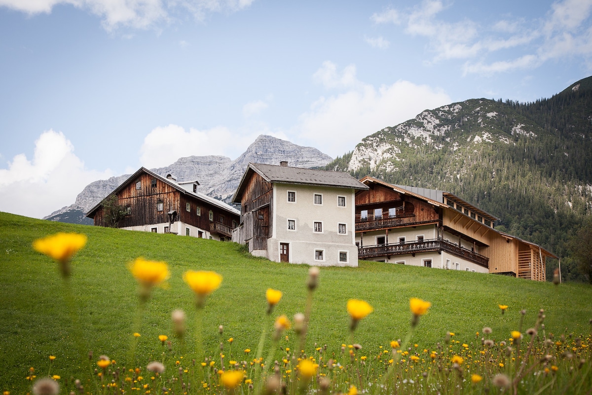 原装的Tyrolean小屋，顶部翻修，太可爱了！