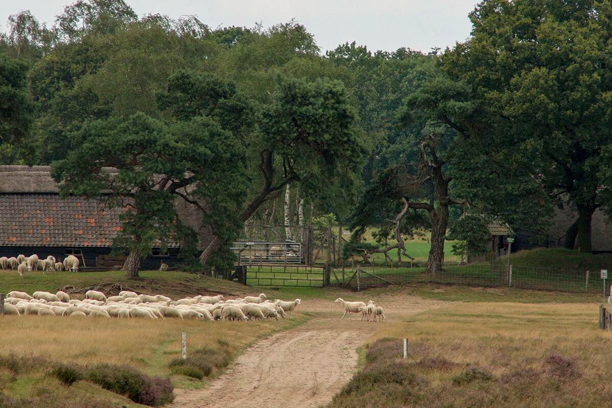 HuizeThuis ，回到大自然