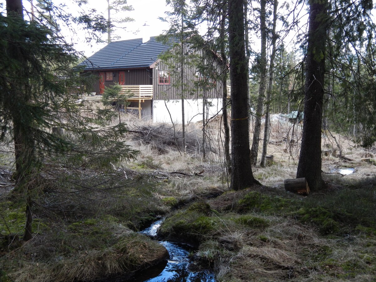 Offgrid cabin in the woods only 25 km from Oslo