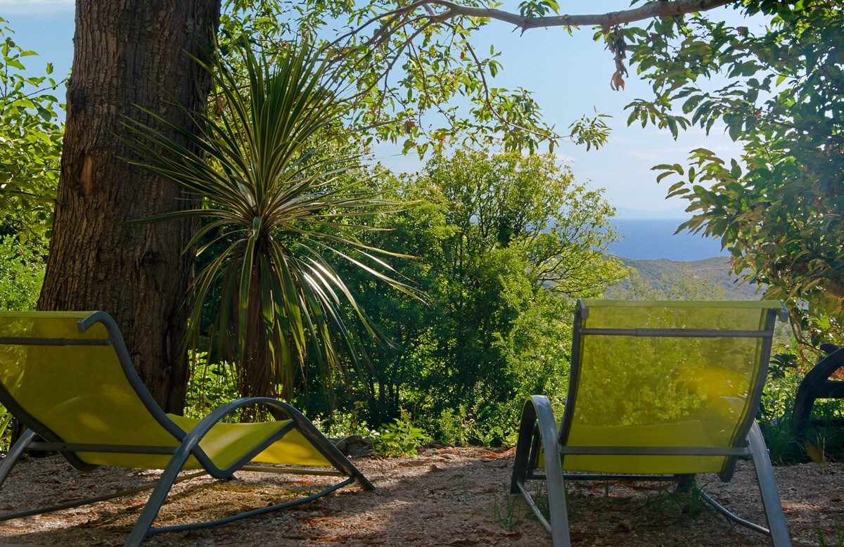 位于科西嘉角（ Cape Corsica ）中心的栗树小屋