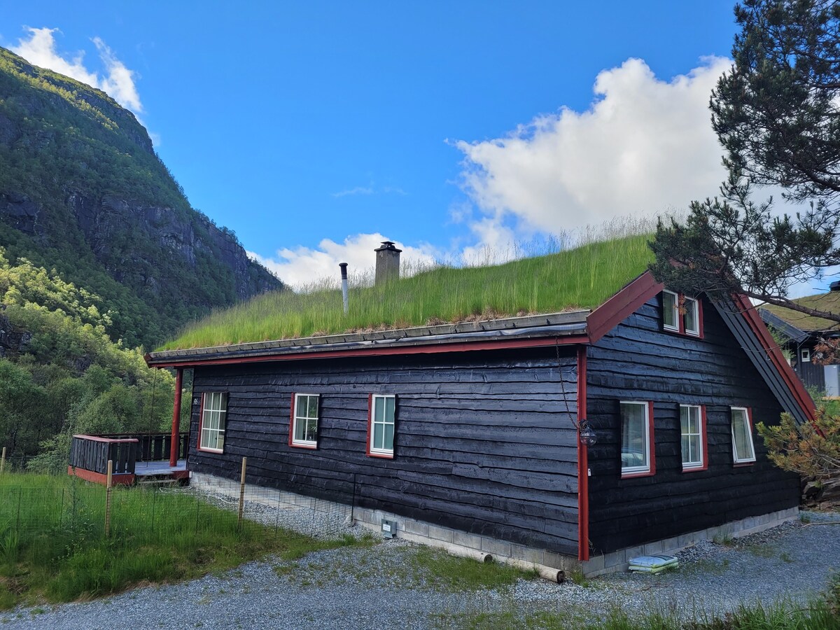 距离卑尔根以北1小时车程的现代大型小木屋