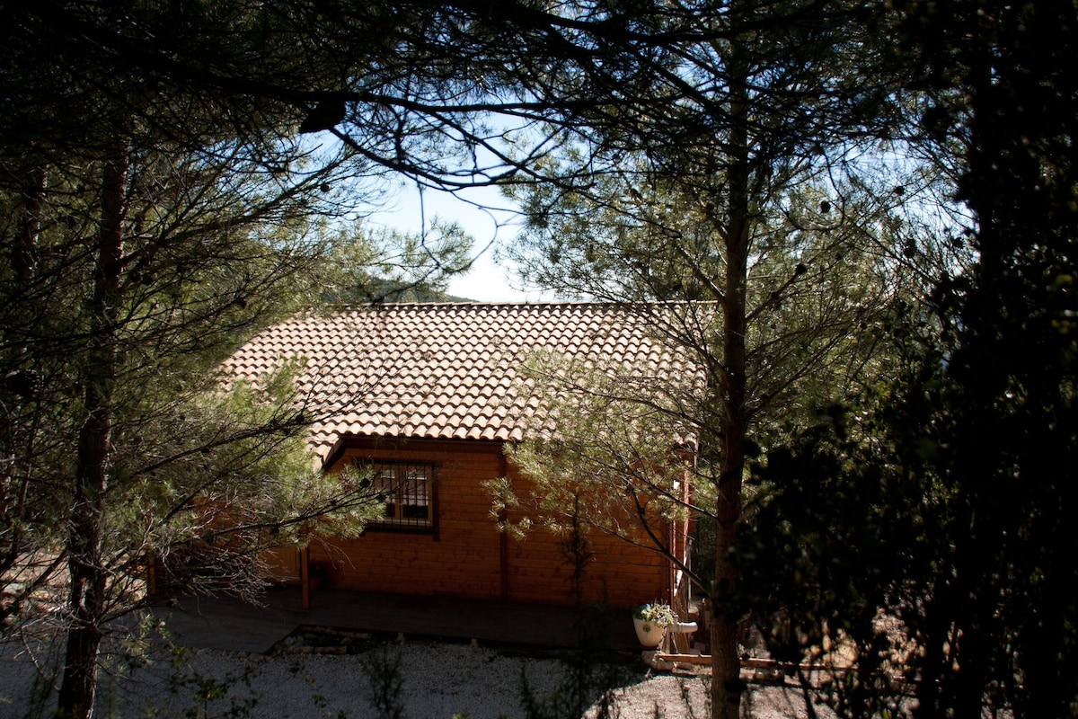 阿里坎特Aitana的小屋。