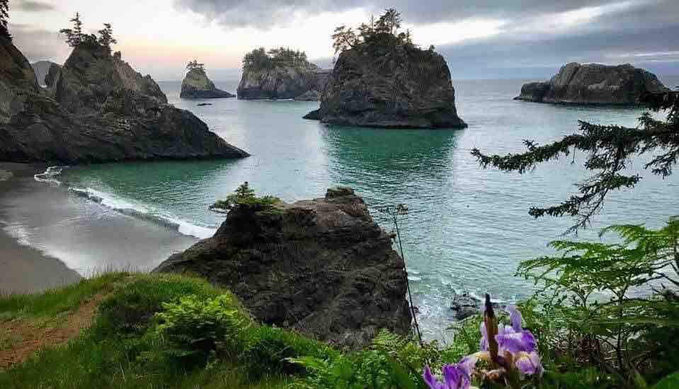 海风艺术家平房：红杉林、河流、海滩