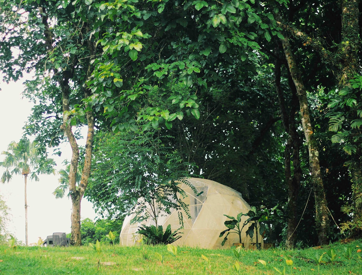 Geodesic Dome Tent Nestled in the Trees, Lake View