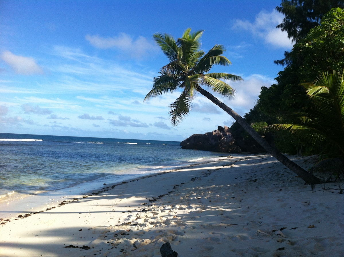 Villas Du Voyageur Beach Front