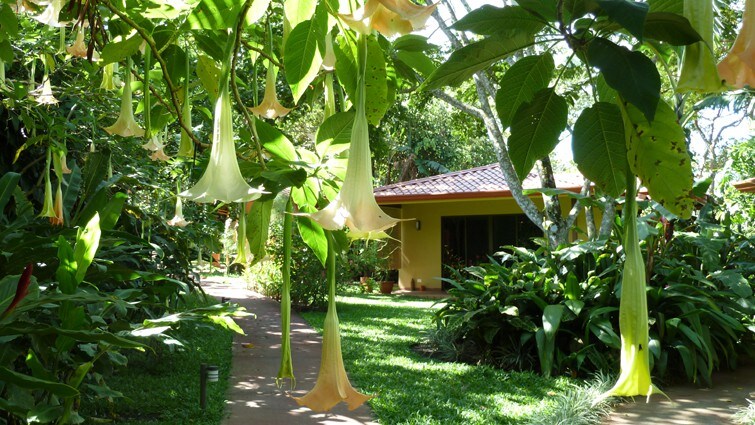 热带花园中的私人小平房，可容纳2人