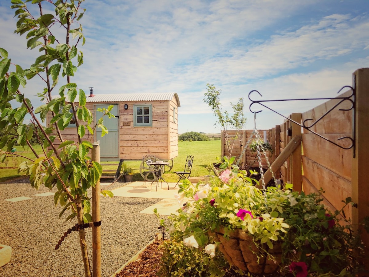 Cwt Bugail Bedo - Bedo Shepherd 's Hut on Anglesey