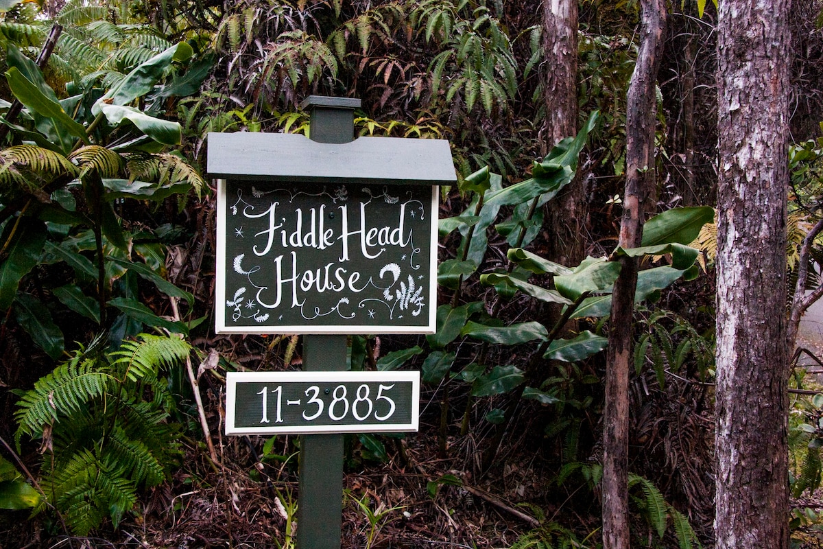 Fiddlehead House-幽静的雨林休养寓所