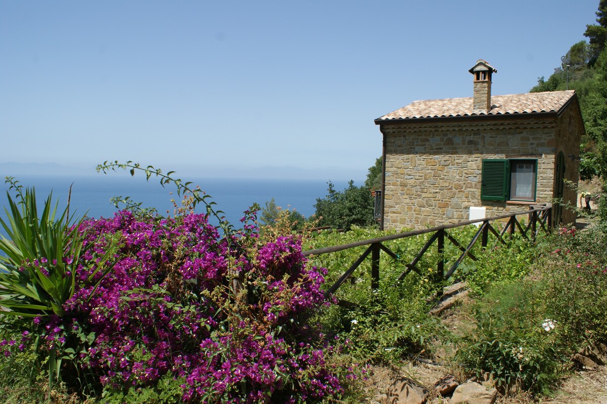 Two super panoramic Cilento cottages for 10 people