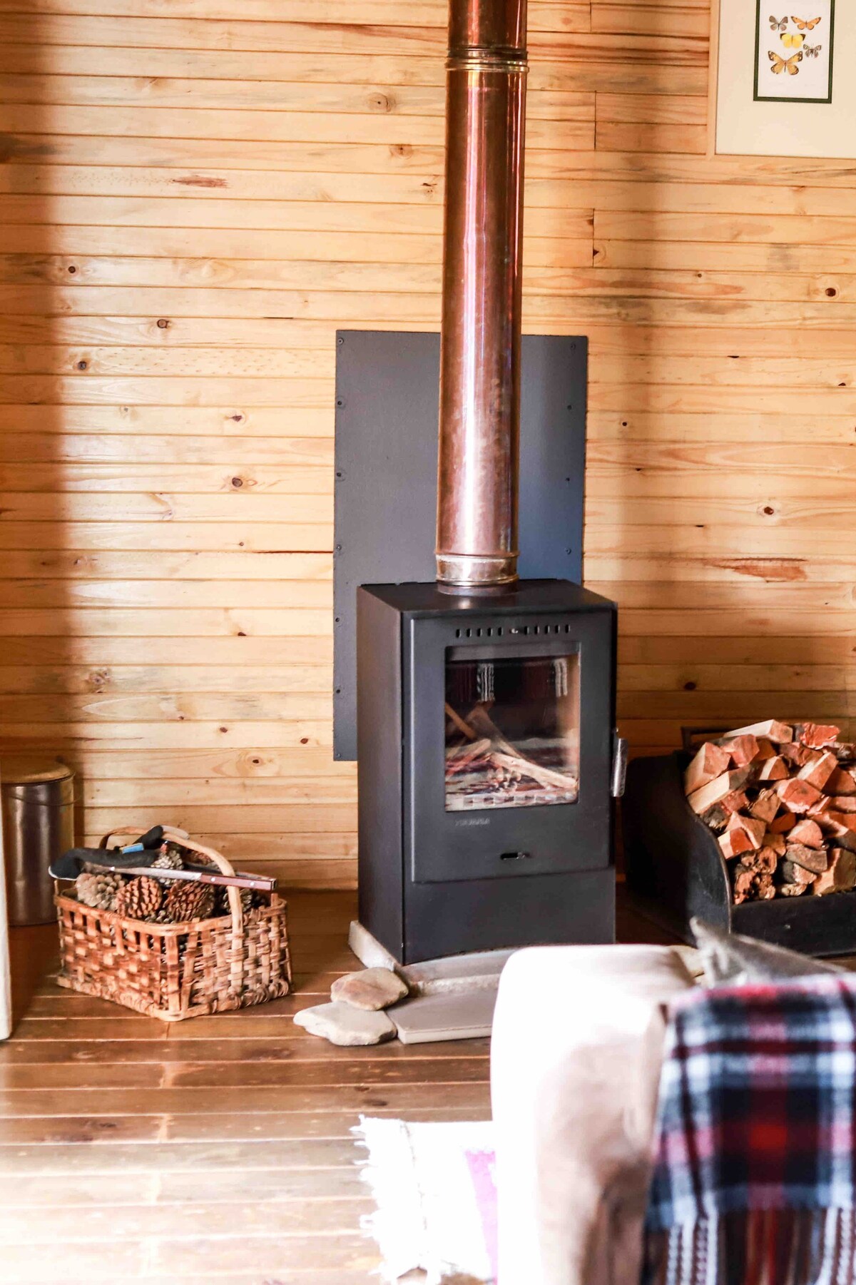 Camphor Cabin at Organic Origins