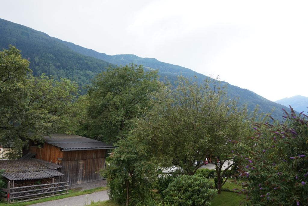 Gemuetliche Ferienwohnung mit Aussicht