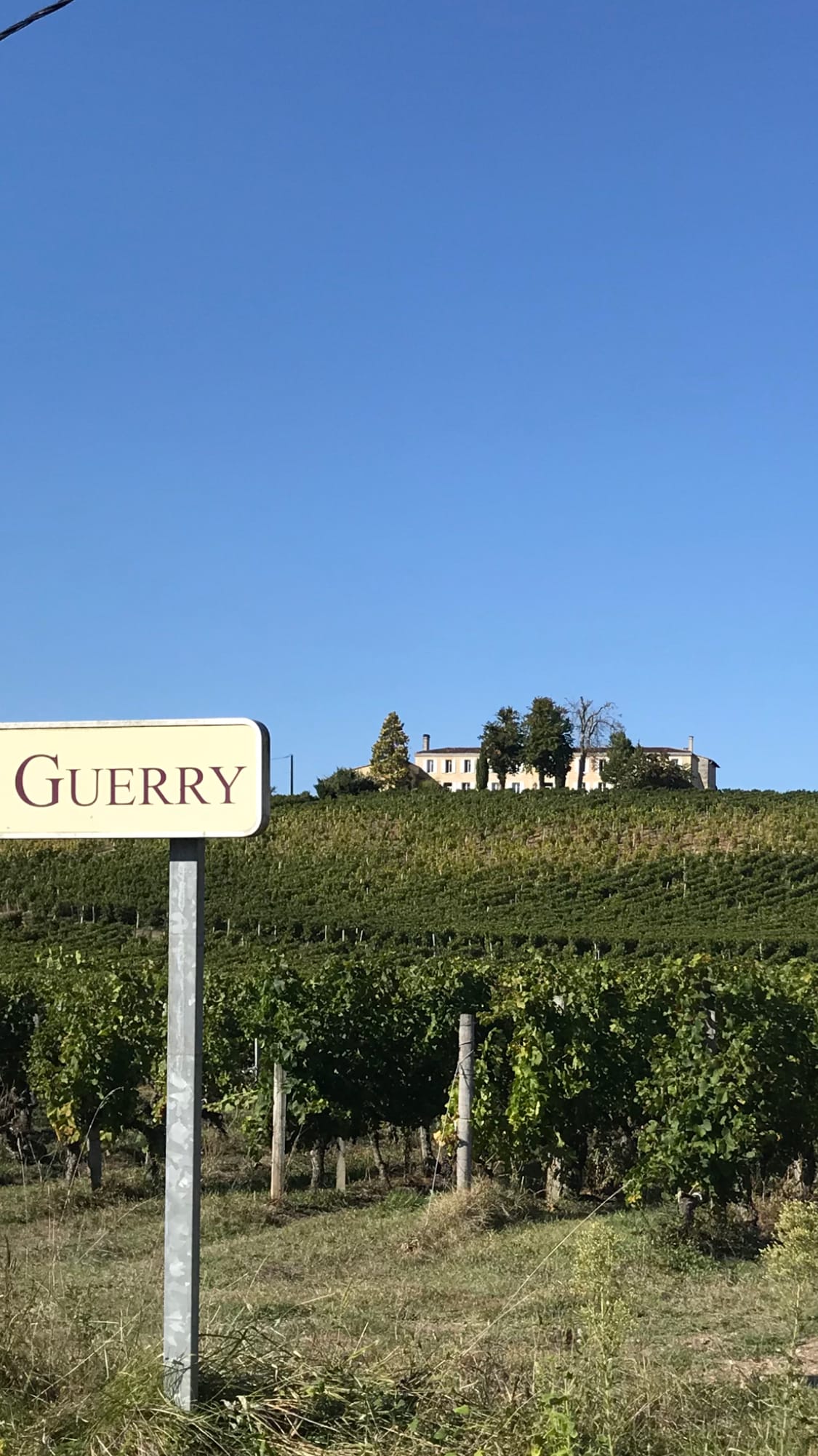 Villa au coeur des vignes - Château Guerry Tauriac