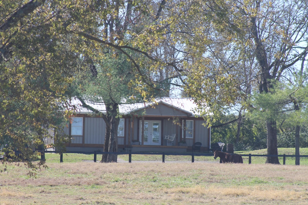 位于蓝草（ Bluegrass ）中心的斯普林伍德小屋（ Springwood Cottage ）。