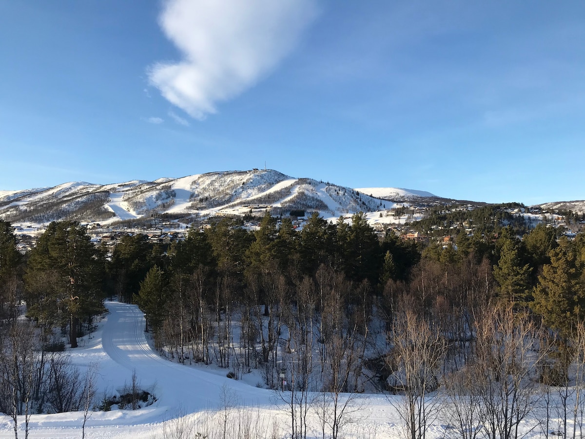 中央公寓，距离越野跑道50米