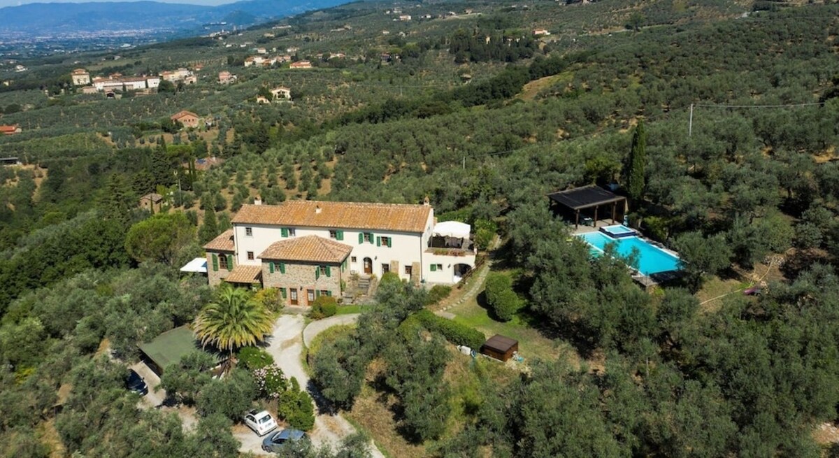 Tuscan Charm: Olive Tree Villa near Vinci