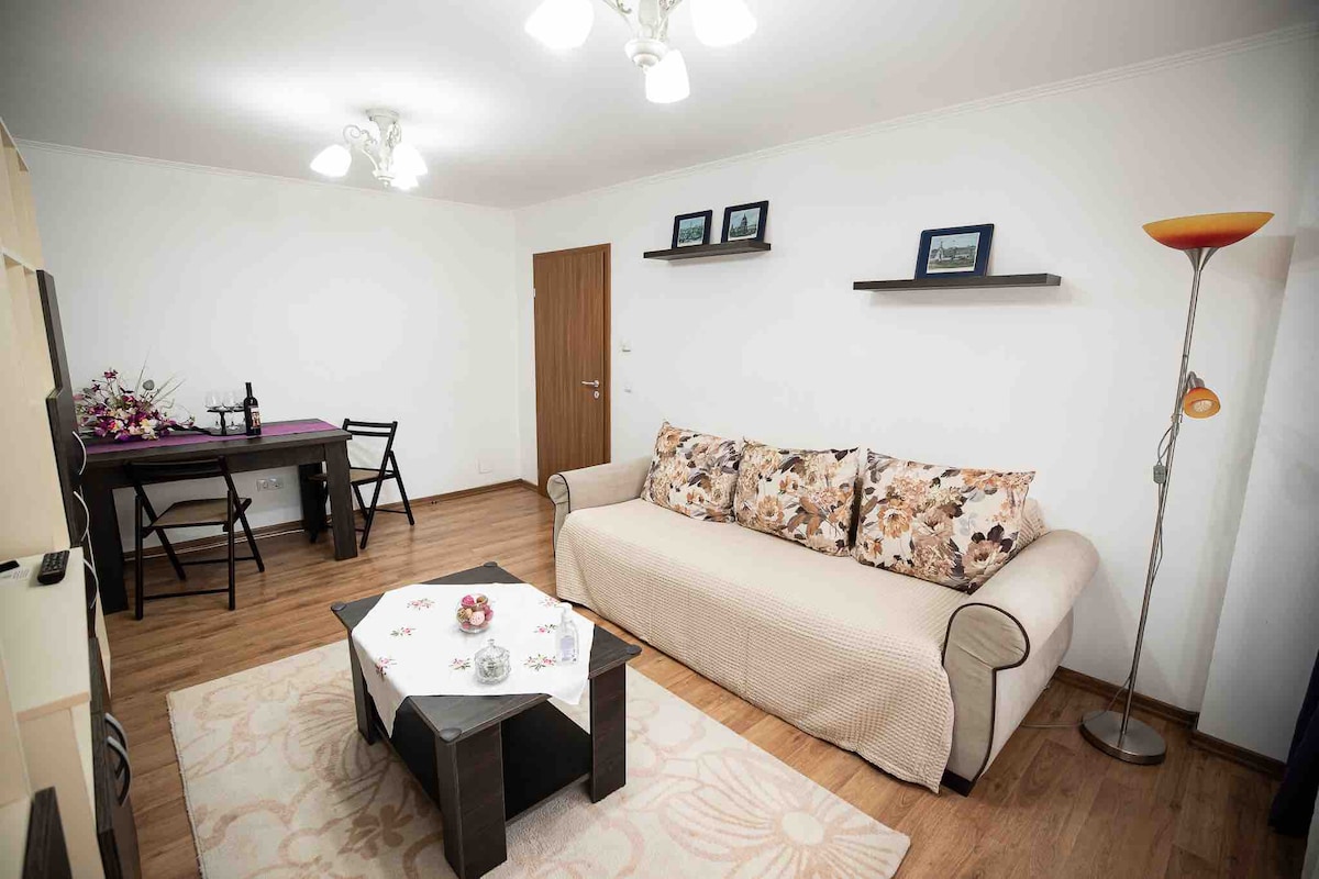 Camarad的房子-位于阿尔巴尤利亚（ Alba Iulia ）的漂亮公寓