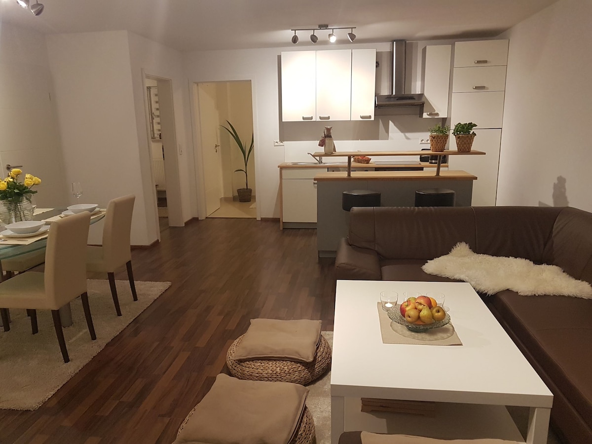 Apartment Europapark Strasbourg, Blackforest, OGMesse