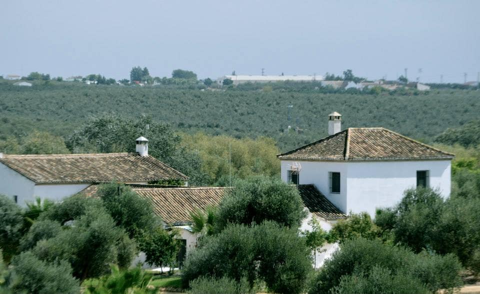 El Cotillo de San Jose (Casa Rural)