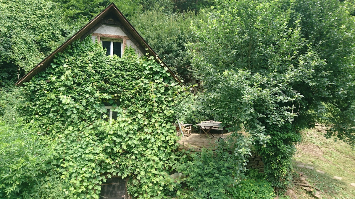 *纯净大自然*
乡村住宅内的森林小屋