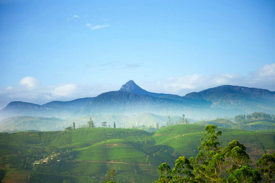 亚当斯峰迷人的迷雾山