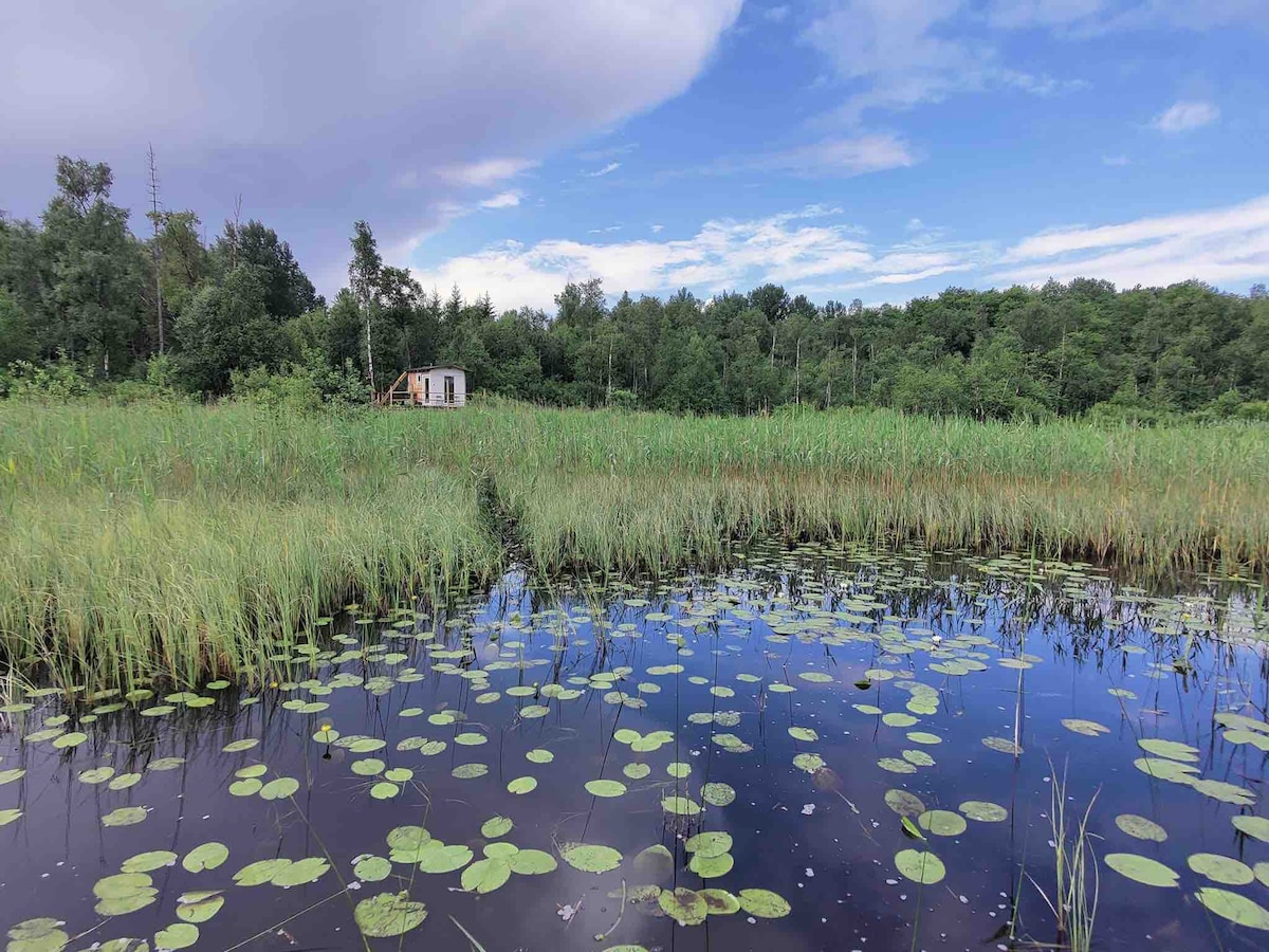 Stolphus vid liten lugn sjö