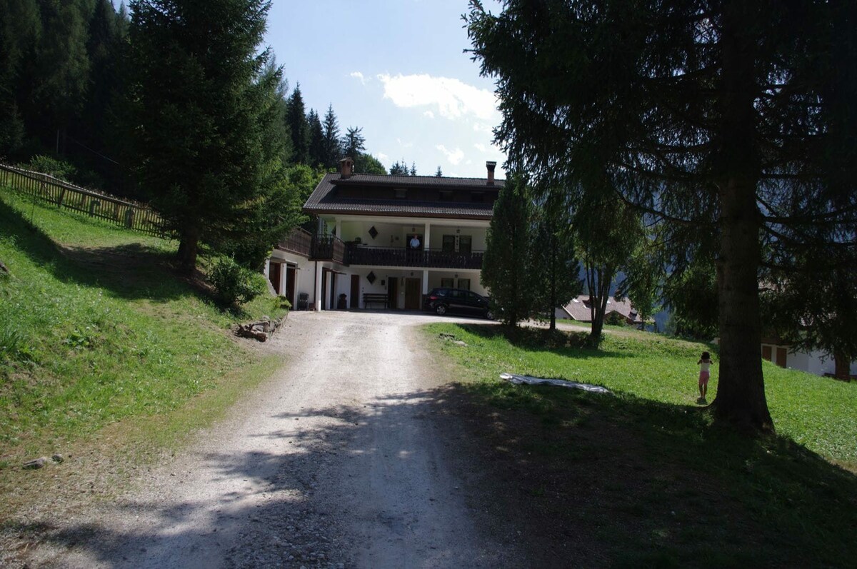 Falcade Dolomiti-La Quiete Mansarda panoramica