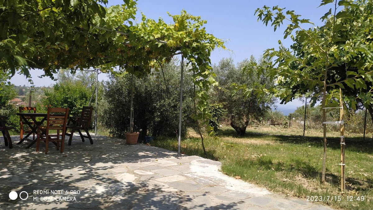 Seaside villa with a panoramic view full of herbs