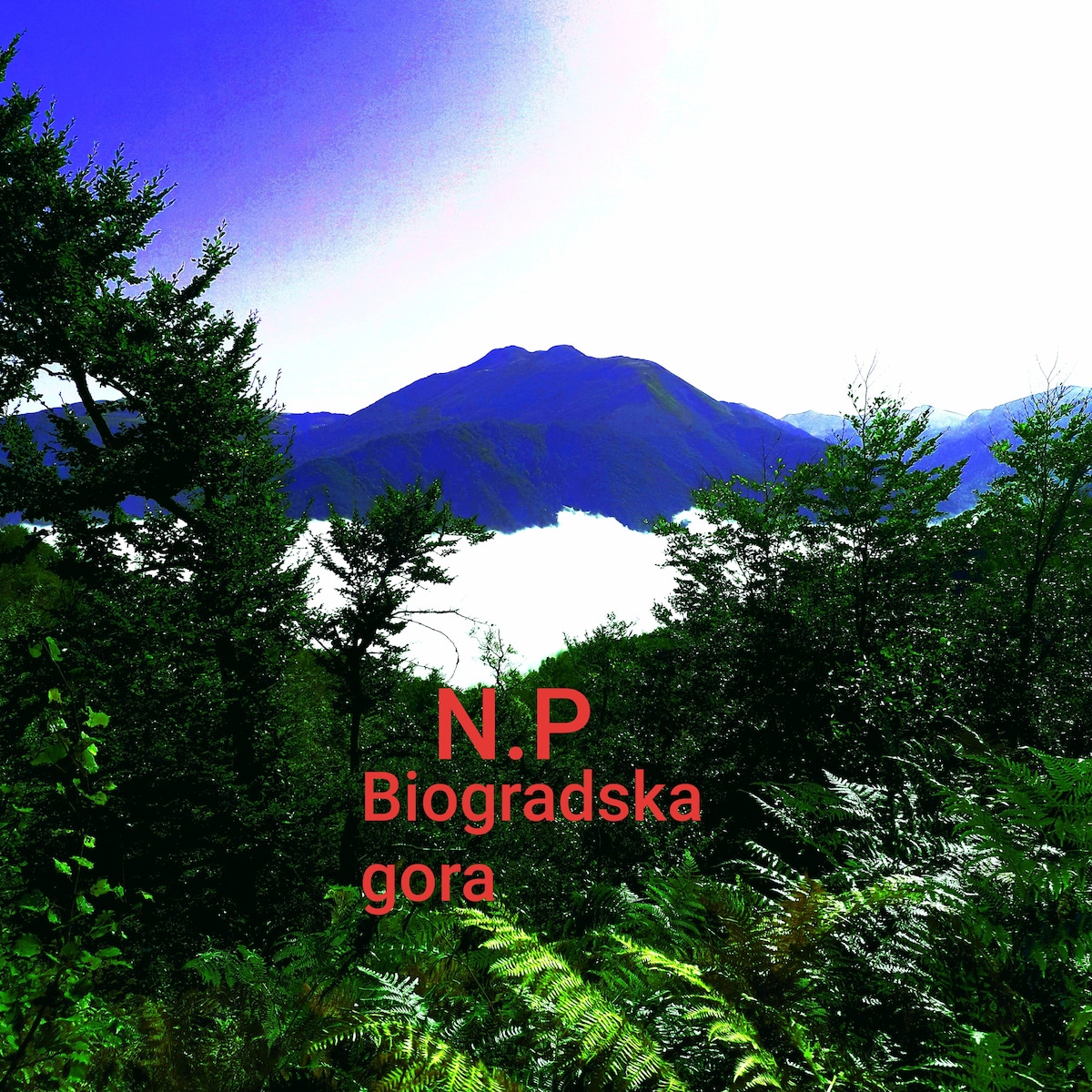 Superior 2 Biogradska gora公寓