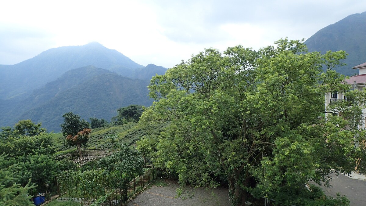 樸宿山景雙人房(日式地板睡墊)~寧靜的山區夜晚,更凸顯大自然蟲鳴鳥叫的熱鬧樂章。