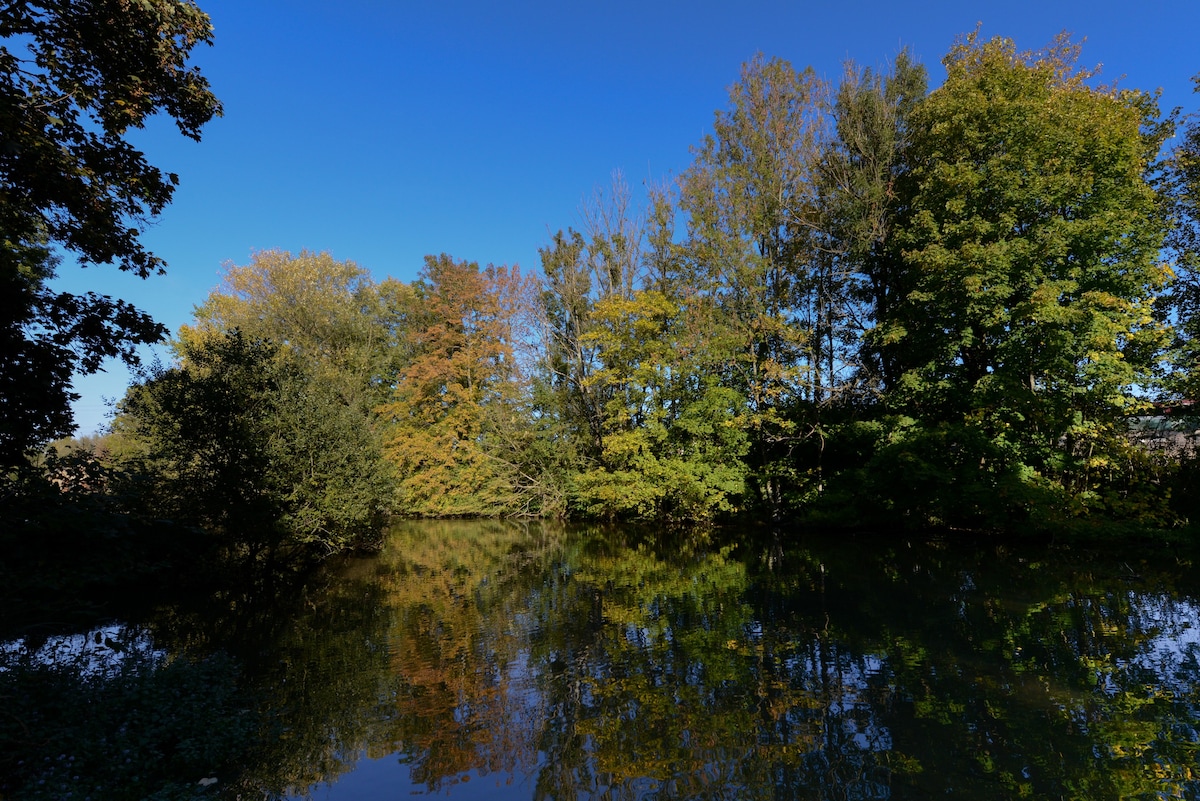 Ô JARDIN DE BOUTANCOURT Grande capacité.