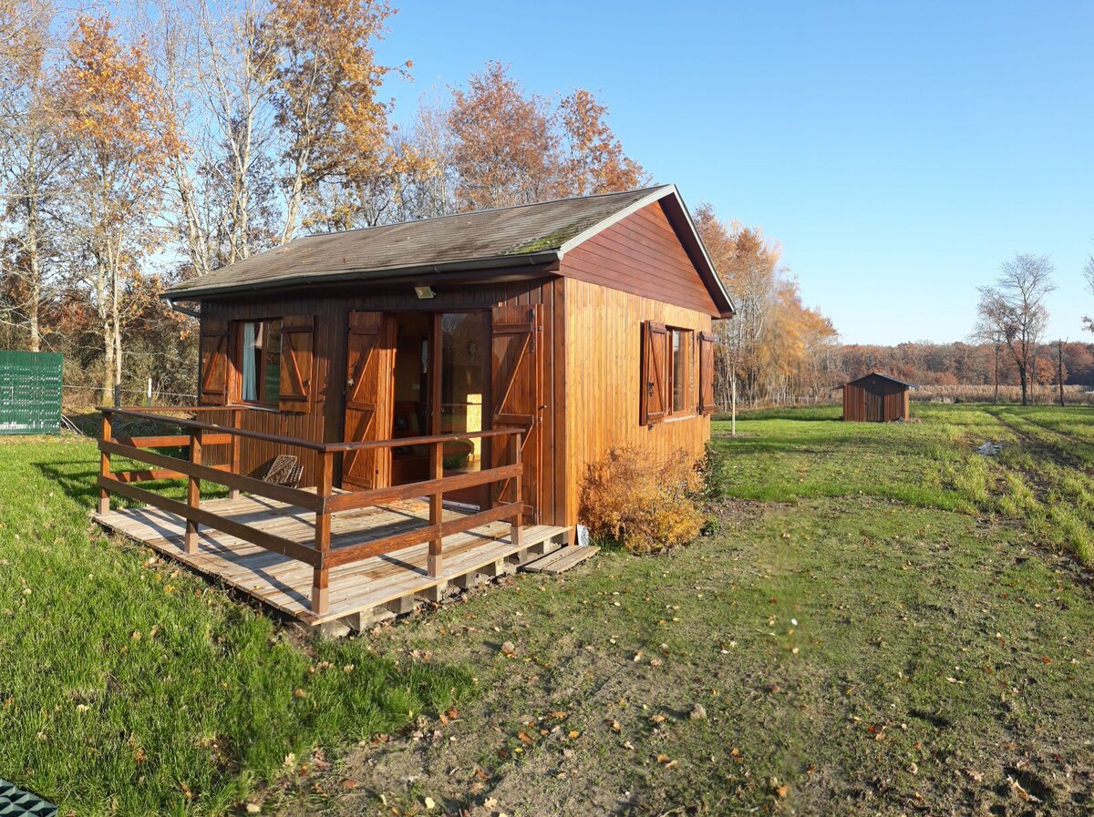 Chalet du Grand Étang