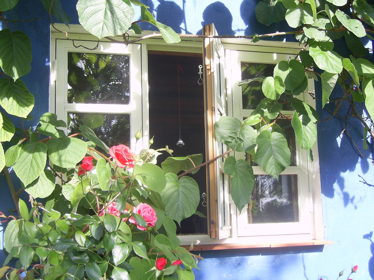 Das schönste Ferienhaus auf Rügen