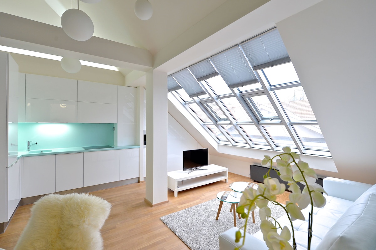 设计师Loft at Wenceslas Square 2