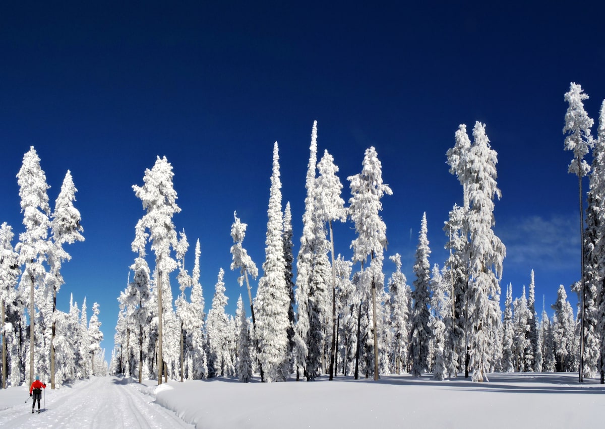 Kirmoitalo : Room-6 in Salla, the arctic Lapland