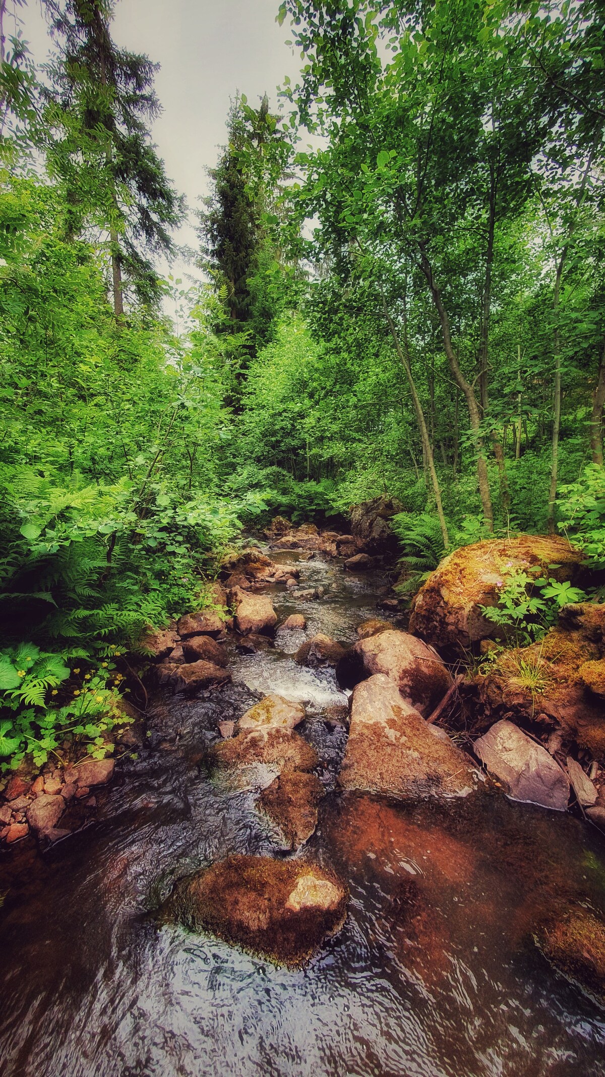 Övernattningsstugan Bäcken.