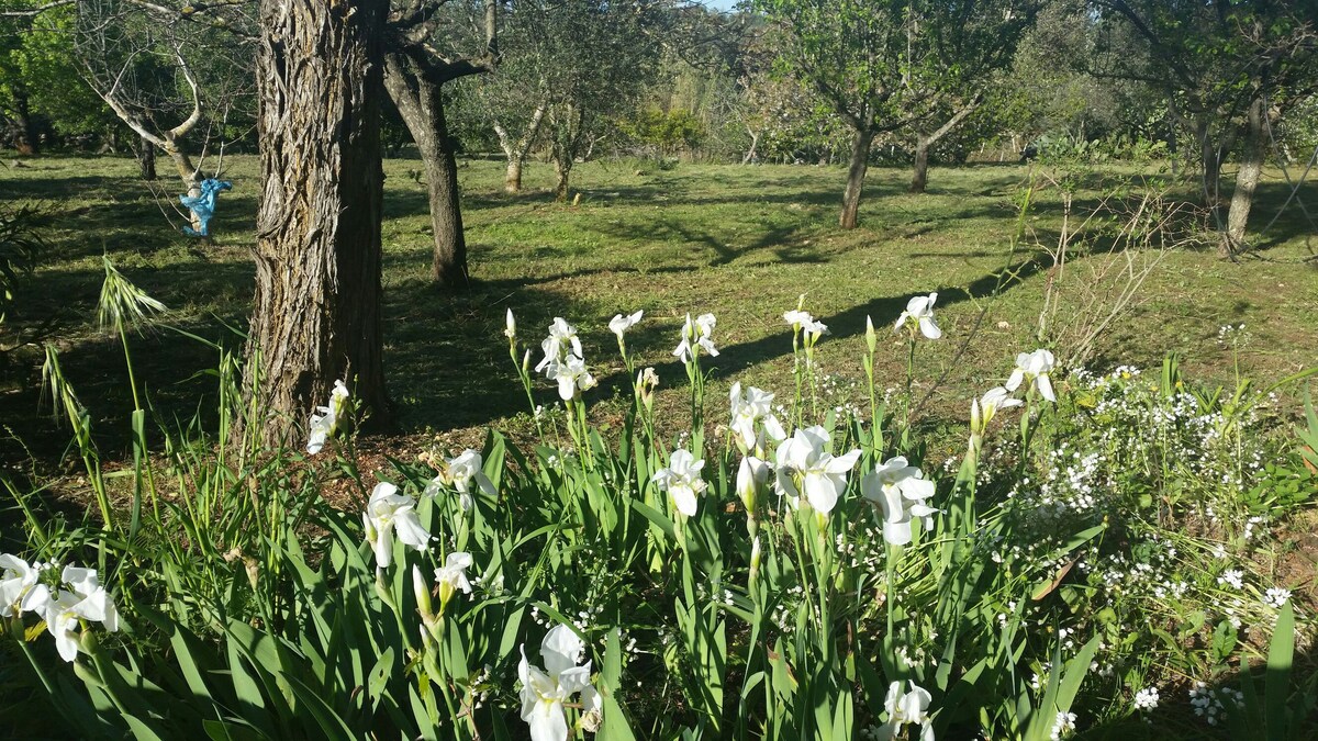 Casa in Campagna