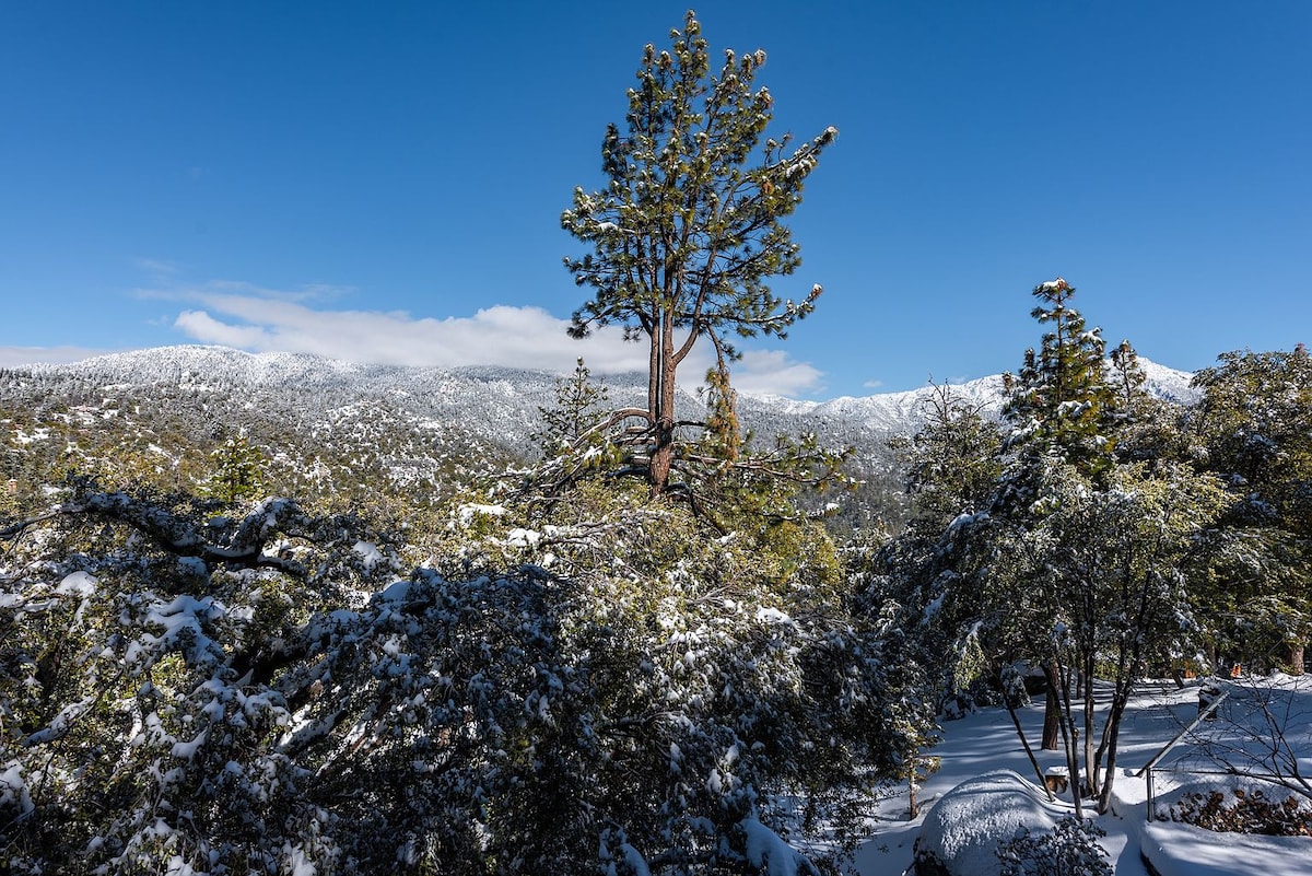 Lark 's Chalet-Idyllwild-Pine Cove/允许携带宠物入住