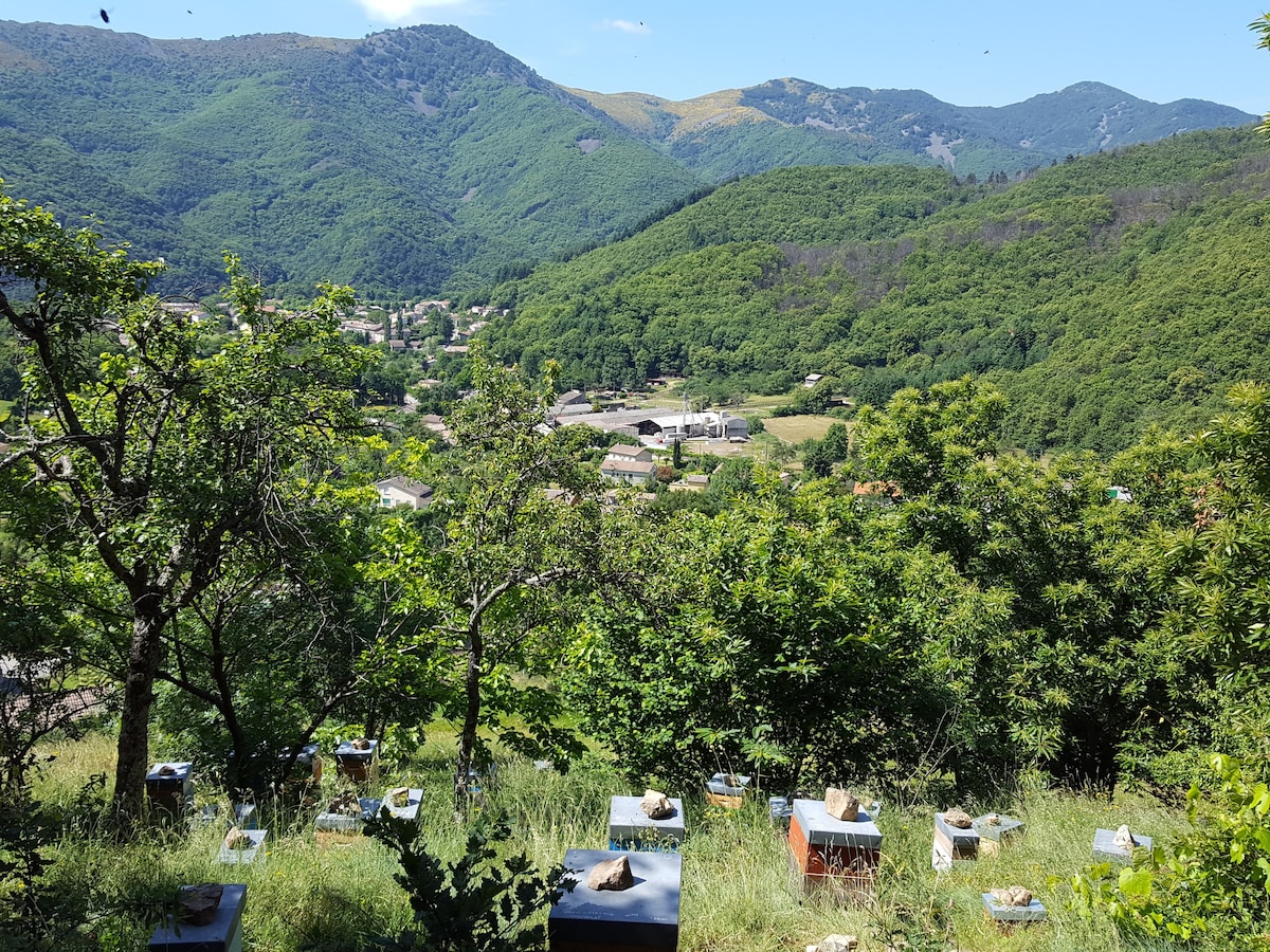 Gîte de L'ALVÉOLE