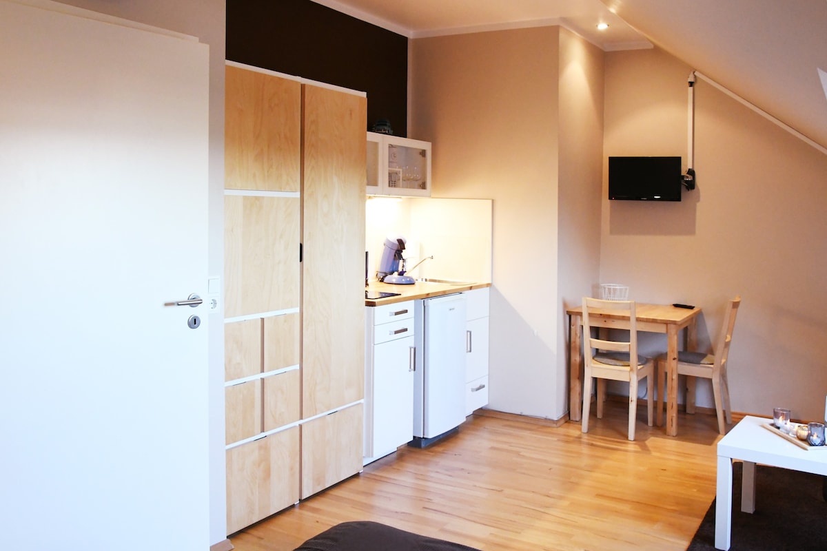 带厨房和卫生间的现代阁楼公寓