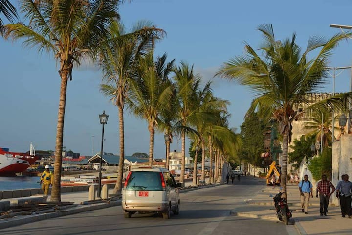 桑尼巴尔城(Zanzibar Town)的民宿