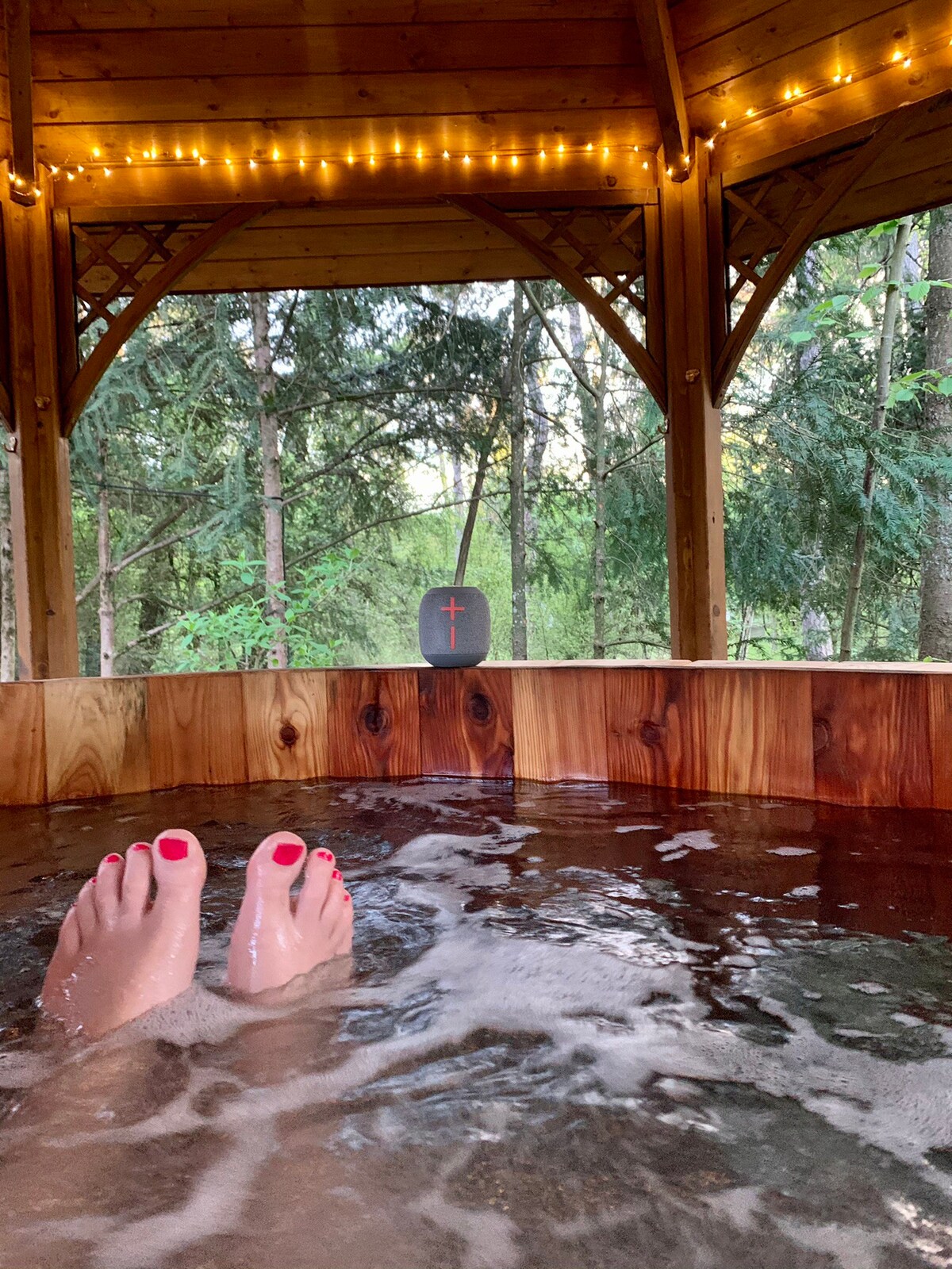 Leman湖附近的度假木屋（ 150米） ，带按摩浴缸