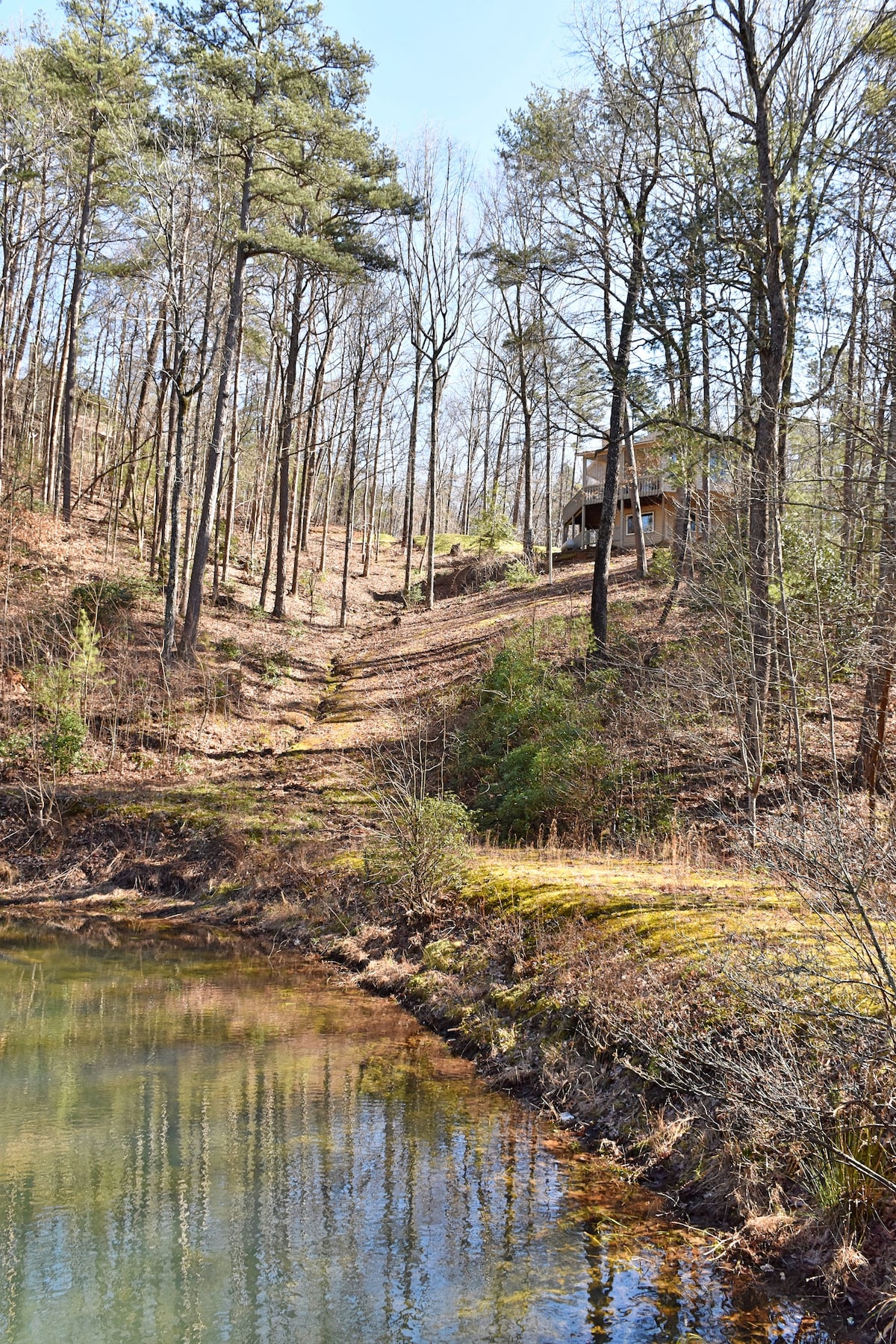 Secluded, waterfront cabin nestled in Ellijay Ga