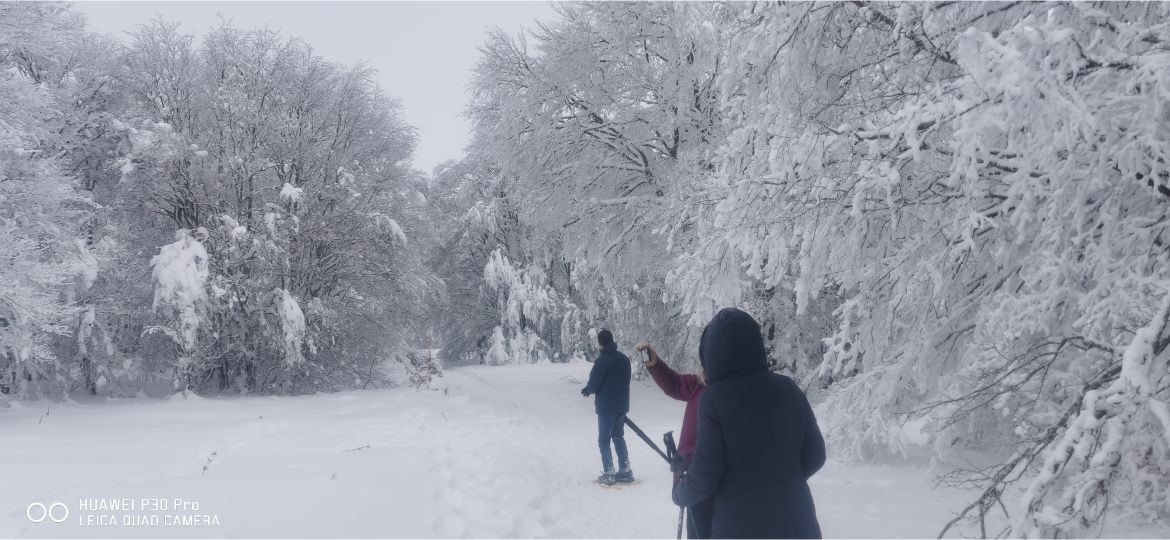 位于奥布拉克（ Aubrac ）的门口