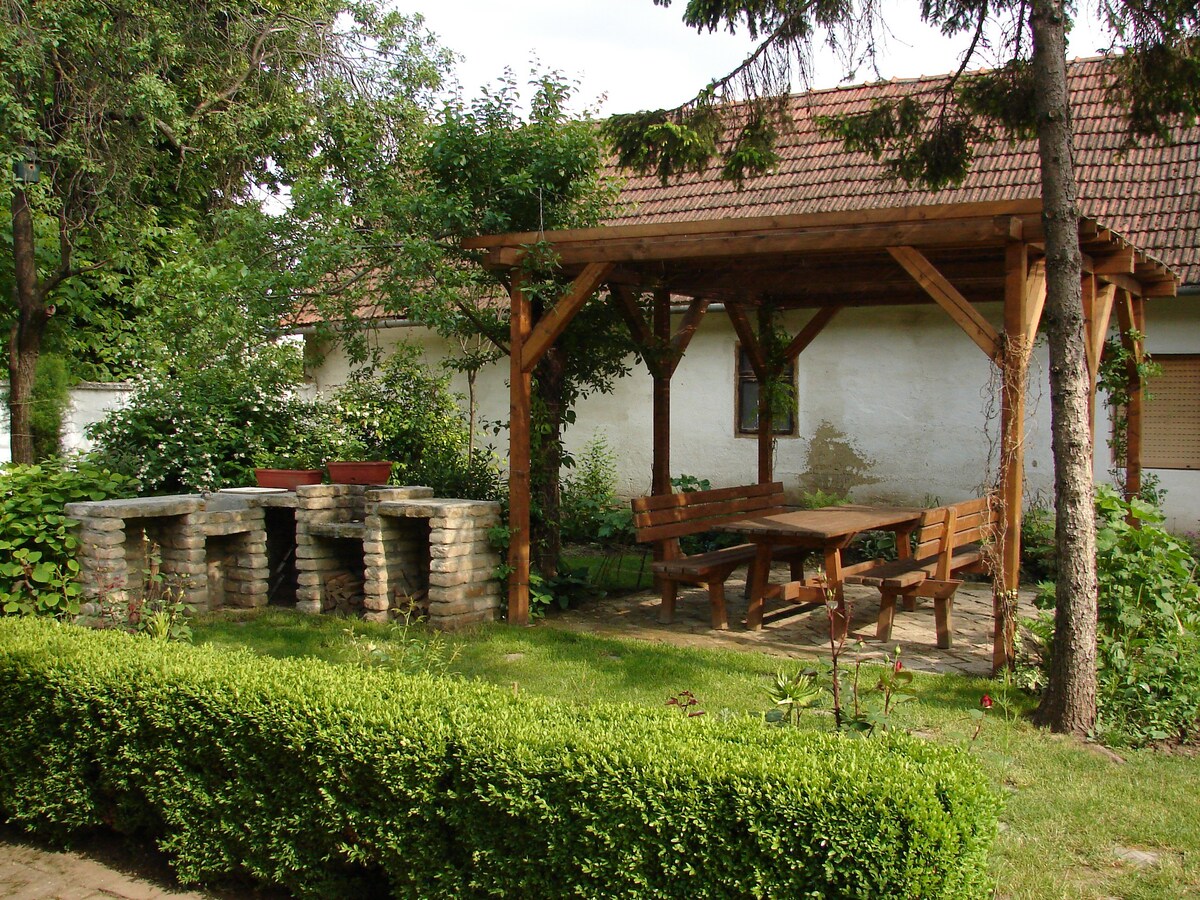 Serbian Village Farmhouse - Stara Moravica-Pačir