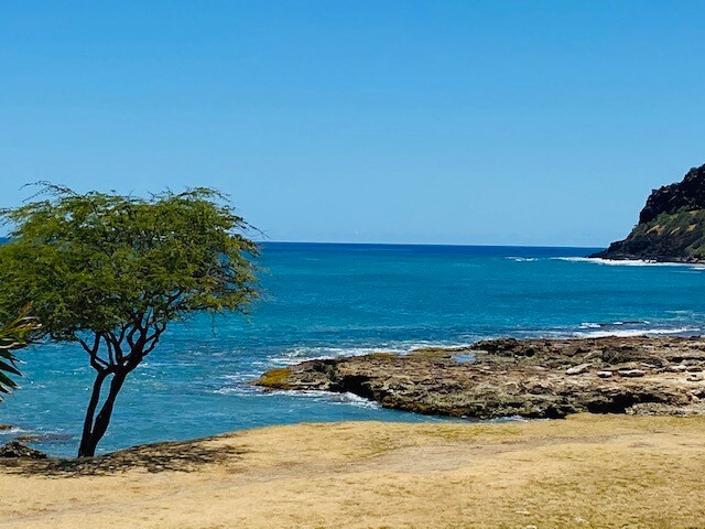 OCEAN FRONT MAKAHA公寓，带泳池、海滩和景观！